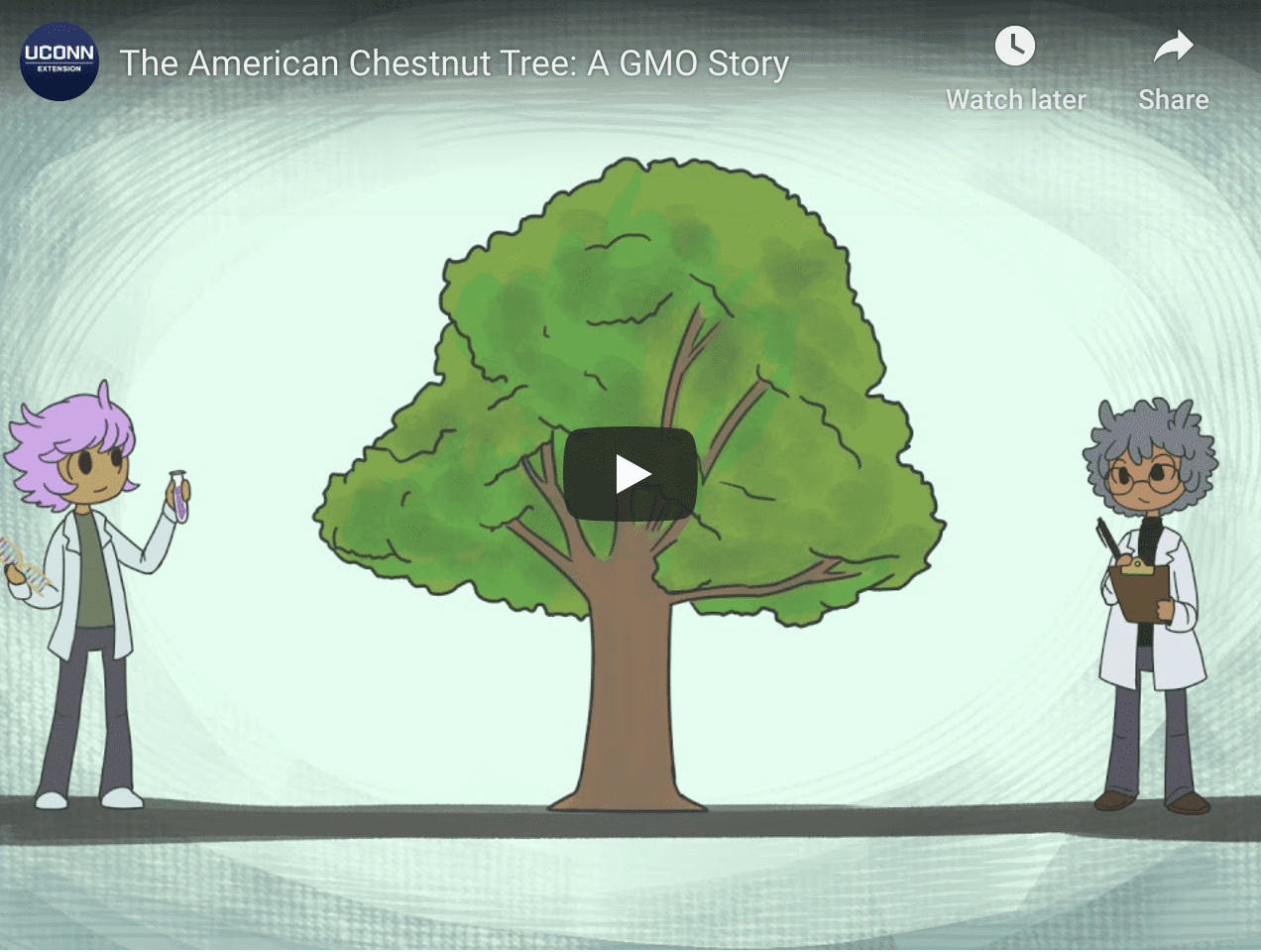 American Chestnut Tree animation opening video photo with tree and two people