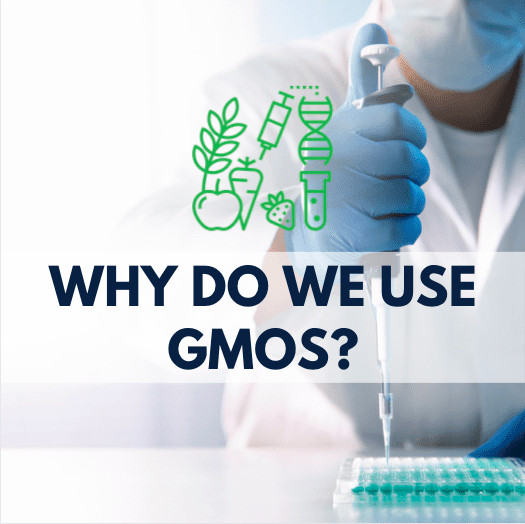 person using a pipette, GMO icon and navy blue text